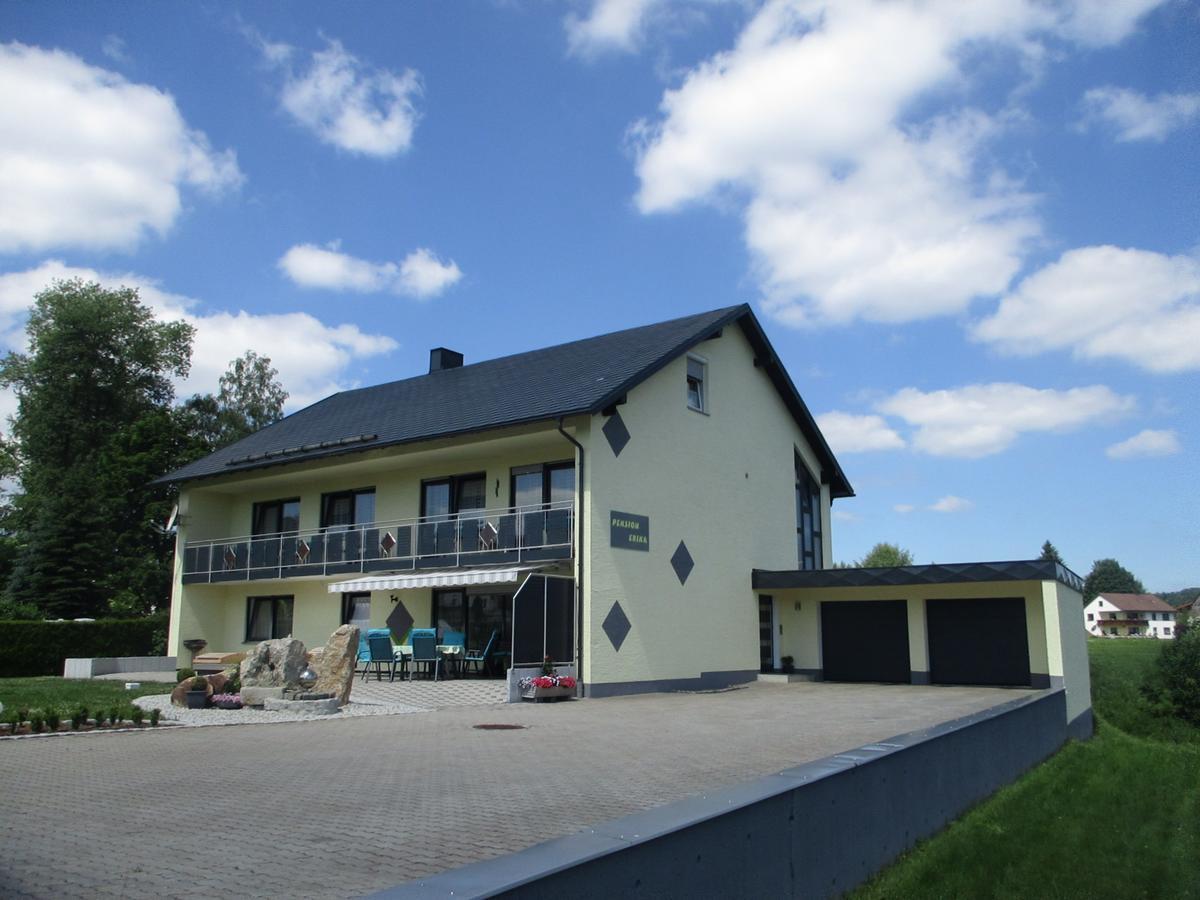 Pension Erika Mehlmeisel Extérieur photo